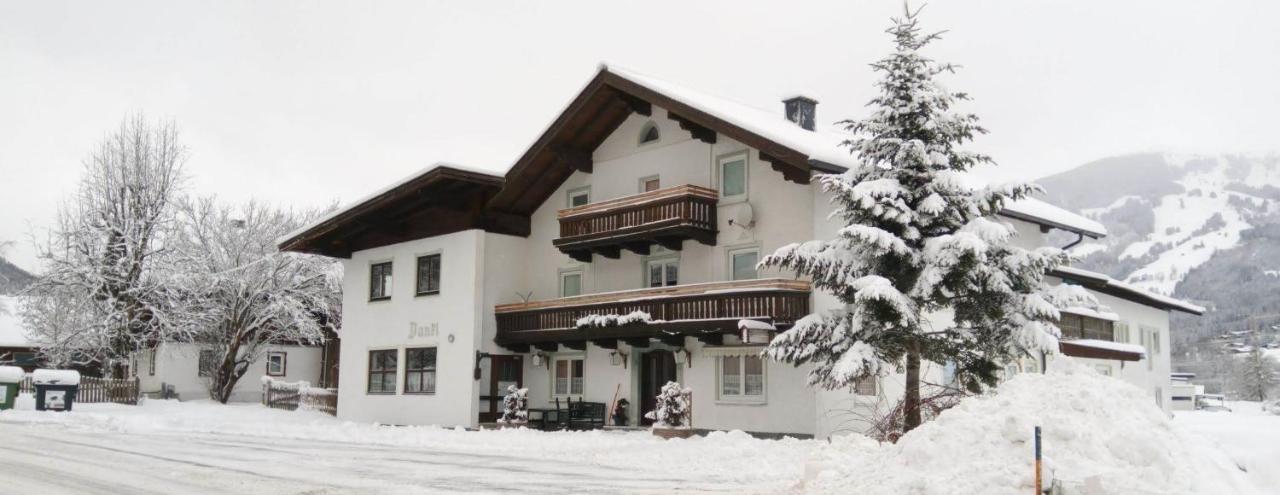 Ferienhaus Dankl Hollersbach im Pinzgau Bagian luar foto