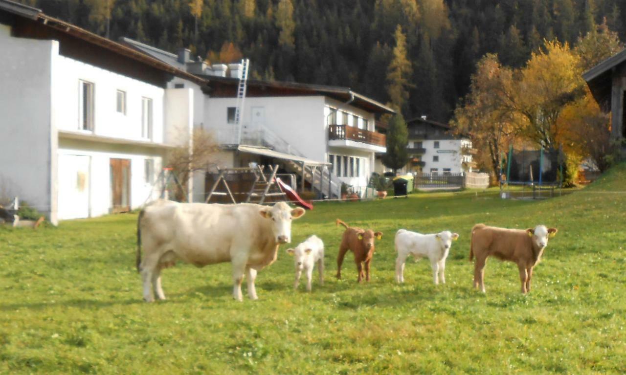 Ferienhaus Dankl Hollersbach im Pinzgau Bagian luar foto